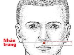 Huyệt Nhân Trung – Chìa khóa phòng ngừa đột quỵ