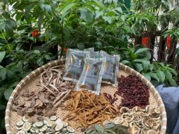 Bài thuốc thang gia giảm hạ Mỡ Máu