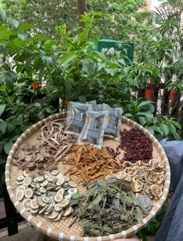 Bài thuốc thang gia giảm hạ Mỡ Máu