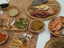 Bài thuốc thang gia giảm trị Thoát vị đĩa đệm