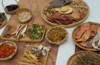 Bài thuốc thang gia giảm trị Thoát vị đĩa đệm