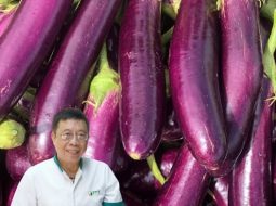 Món nước từ cà tím giúp hoạt huyết, tán ứ, giảm đau lưng, mỏi gối
