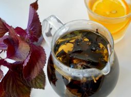 Đậu đen - Tía tô: Cặp đôi hồi sinh cho Thận và Gout xương khớp