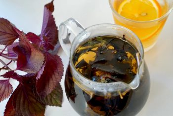 Đậu đen - Tía tô: Cặp đôi hồi sinh cho Thận và Gout xương khớp