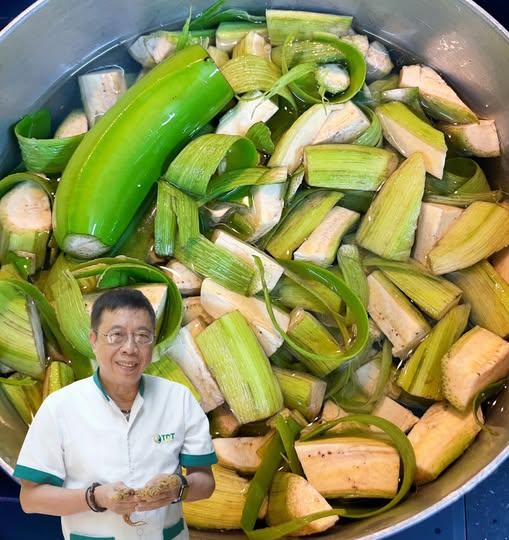 Chuối xanh – Món quà dân dã giúp tỳ khỏe, da sáng