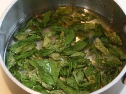 Lá chanh – Giải độc gan, điều hòa đường huyết, nhẹ thân an tâm