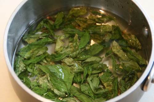 Lá chanh – Giải độc gan, điều hòa đường huyết, nhẹ thân an tâm
