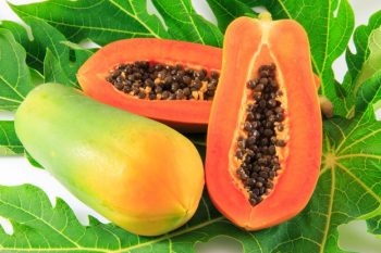 Hạt đu đủ chín: Bài thuốc dân gian trị đau lưng, gai cột sống