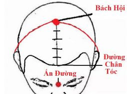 Huyệt Bách Hội – Ngủ ngon, hết đau đầu chóng mặt tức thì