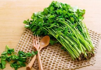Nước rau mùi: Cải thiện tiểu đêm, giúp thận khỏe, ngủ yên giấc