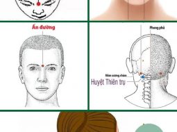 Bấm huyệt chữa đau đầu: 5 huyệt vị quý giúp khai thông khí huyết