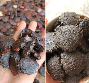 Dân gian dùng hạt gấc chữa bệnh trĩ hiệu quả ra sao?