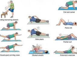 Bài tập chữa thoái hóa đốt sống lưng – hướng dẫn hiệu quả tại nhà