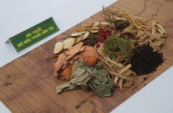 Bài thuốc chữa rối loạn mỡ máu thuốc dân tộc