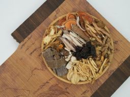 Bài thuốc chữa bệnh xương khớp