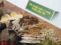 Bài thuốc sinh lý nam thuốc dân tộc