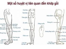 Bấm huyệt chữa thoái hóa khớp gối: hướng dẫn huyệt vị & kỹ thuật an toàn