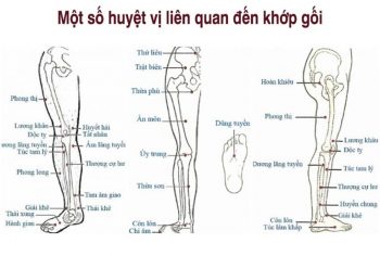 Bấm huyệt giúp giảm đau thoái hóa khớp gối, tác động thế nào?