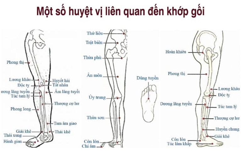 Bấm huyệt chữa thoái hóa khớp gối: hướng dẫn huyệt vị & kỹ thuật an toàn