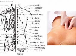 Bấm huyệt chữa thoát vị đĩa đệm: Phương pháp giảm đau không xâm lấn
