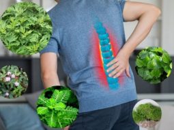Cách chữa thoái hóa cột sống bằng dân gian hiệu quả dễ tìm