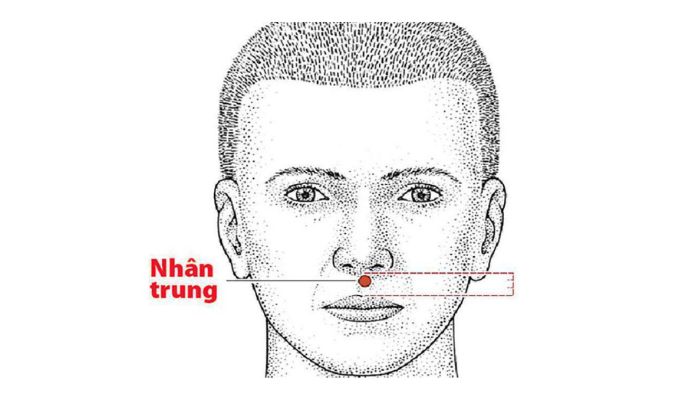Vị trí huyệt Nhân Trung