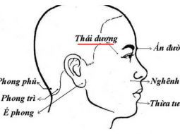 Huyệt Thái Dương giúp giảm đau đầu hiệu quả