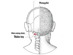 Huyệt Thiên Trụ liên quan tới các vấn đề cổ - vai gáy và đầu