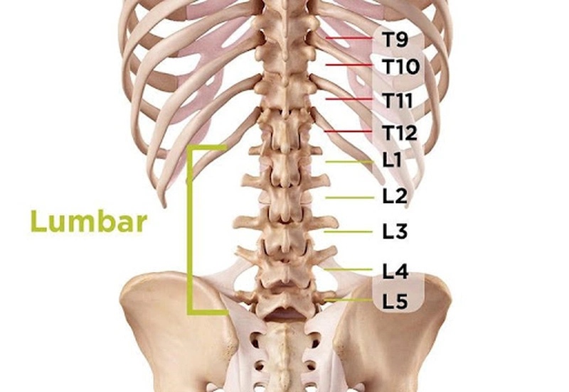 Tổng quan về thoái hóa đốt sống lưng L4 L5