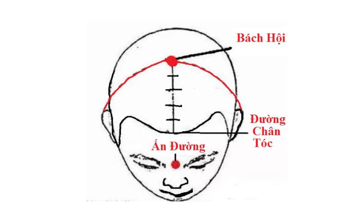 Huyệt Bách Hội