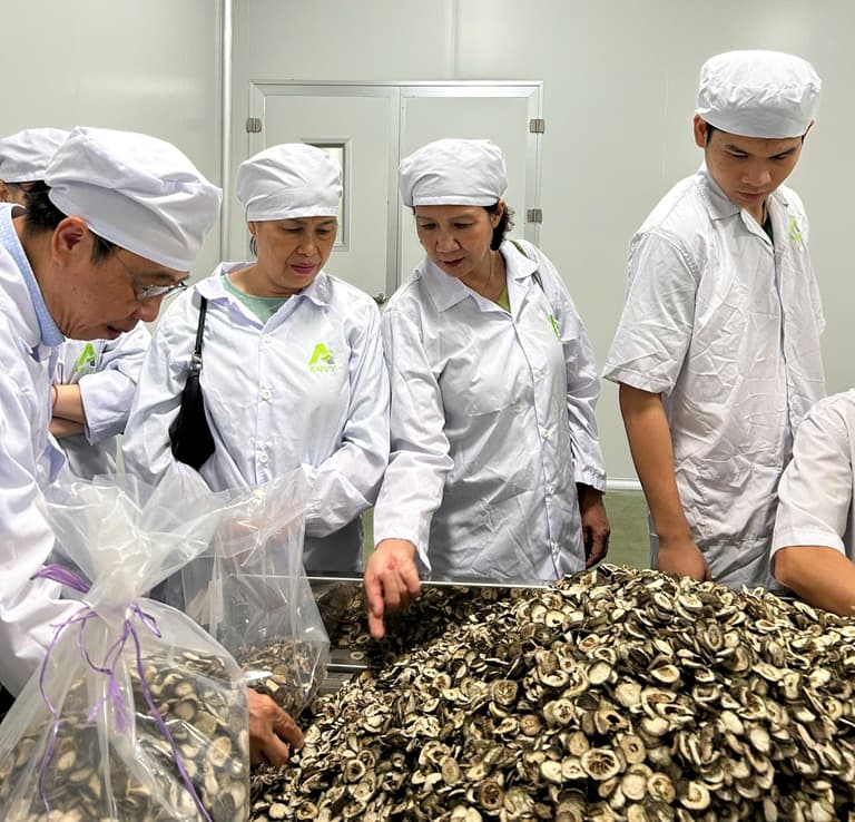 Từng vị thuốc được Lão và các cộng sự kiểm tra, chọn lọc rất kỹ lưỡng Từng vị thuốc được Lão và các cộng sự kiểm tra, chọn lọc rất kỹ lưỡng