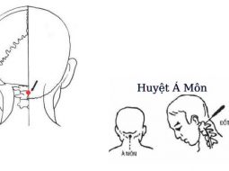 Huyệt Á Môn có vị trí nằm ngay sau đầu