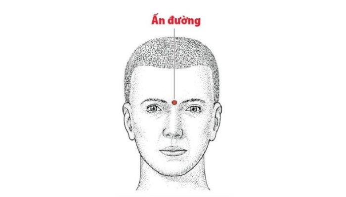 Huyệt Ấn Đường được ứng dụng rất nhiều trong chăm sóc sức khỏe hàng ngày