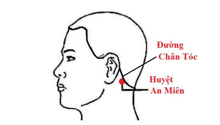 Huyệt An Miên phát huy lớn vai trò trong hỗ trợ giấc ngủ