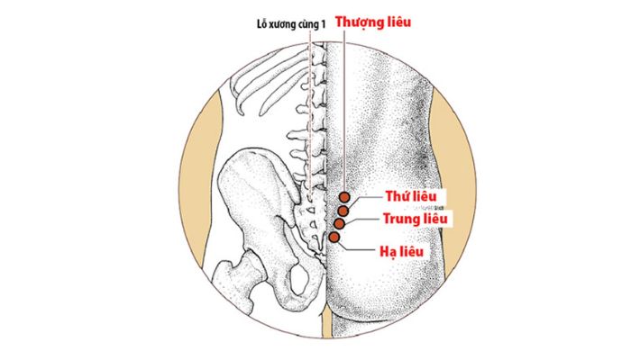 Huyệt Bát Liêu là 8 huyệt đối xứng ở 2 bên xương cùng