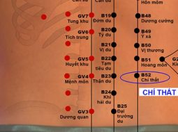 Huyệt Chí Thất chủ trị nhiều vấn đề về đau lưng, sinh lý nam,....