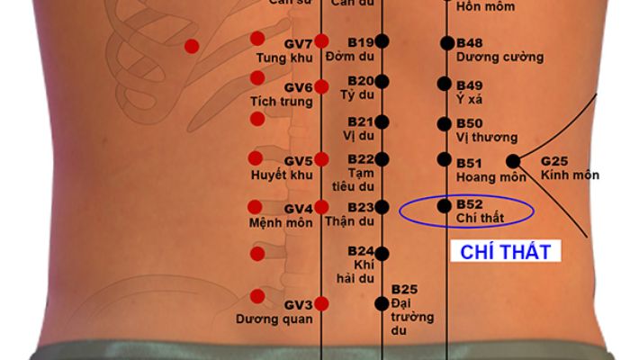 Huyệt Chí Thất chủ trị nhiều vấn đề về đau lưng, sinh lý nam,....