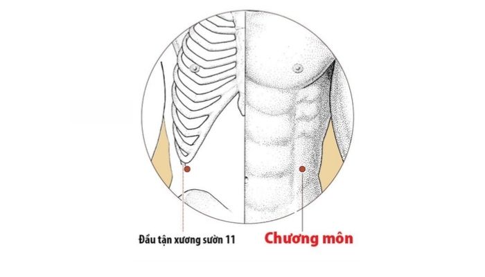Huyệt Chương Môn giúp giảm rối loạn tiêu hóa rất nhanh