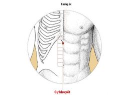 Huyệt Cự Khuyết hỗ trợ trị các chứng vùng Tâm Vị – ngực, bụng trên