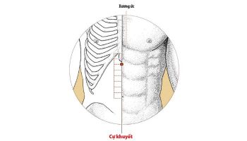 Huyệt Cự Khuyết hỗ trợ trị các chứng vùng Tâm Vị – ngực, bụng trên