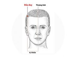 Huyệt Đầu Duy có vị trí nằm ở góc trán