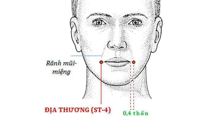 Huyệt Địa Thương nằm ngay bên mép miệng