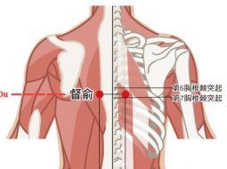 Huyệt Đốc Du là vị trí huyệt rất quan trọng ở trên lưng