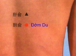 Huyệt Đởm Du giúp đẩy lùi các biểu hiện liên quan tới gan mật