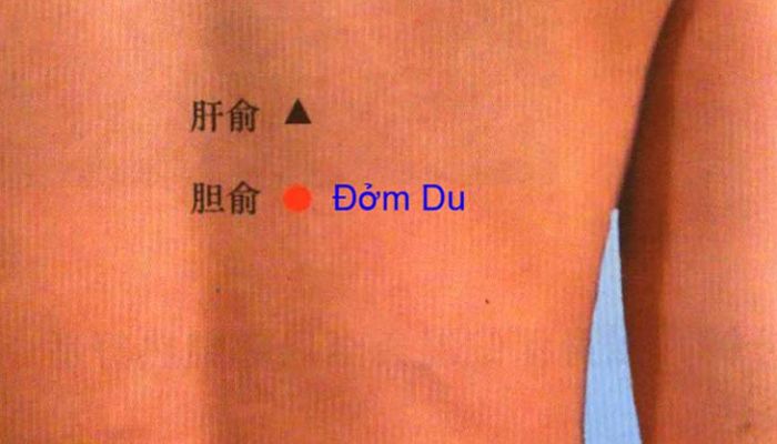 Huyệt Đởm Du giúp đẩy lùi các biểu hiện liên quan tới gan mật