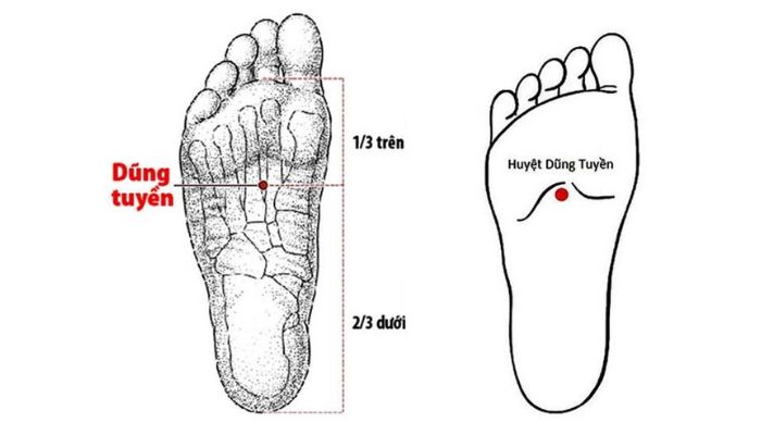 Huyệt Dũng Tuyền có vị trí ở lòng bàn chân
