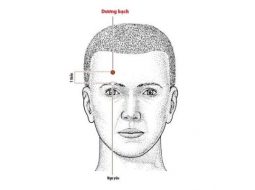 Huyệt Dương Bạch nằm bên trên lông mày