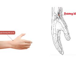 Huyệt Dương Khê dùng nhiều trong chủ trị các vấn đề về tay