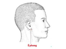 Huyệt Ế Phong giúp điều hòa khí huyết vùng tai – cổ – mặt