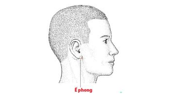 Huyệt Ế Phong giúp điều hòa khí huyết vùng tai – cổ – mặt